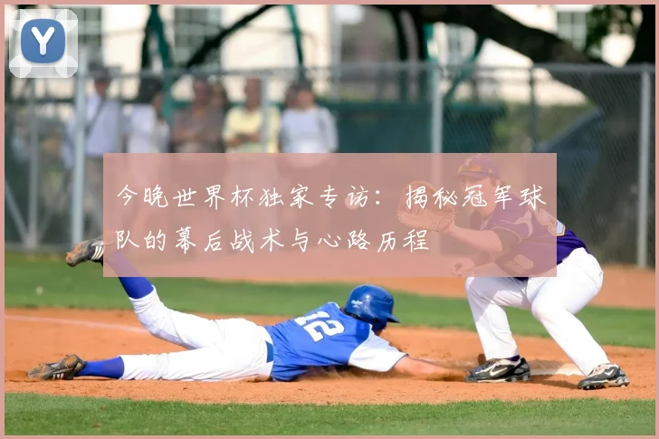 今晚世界杯独家专访：揭秘冠军球队的幕后战术与心路历程